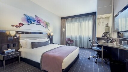  Luxury Queen Room